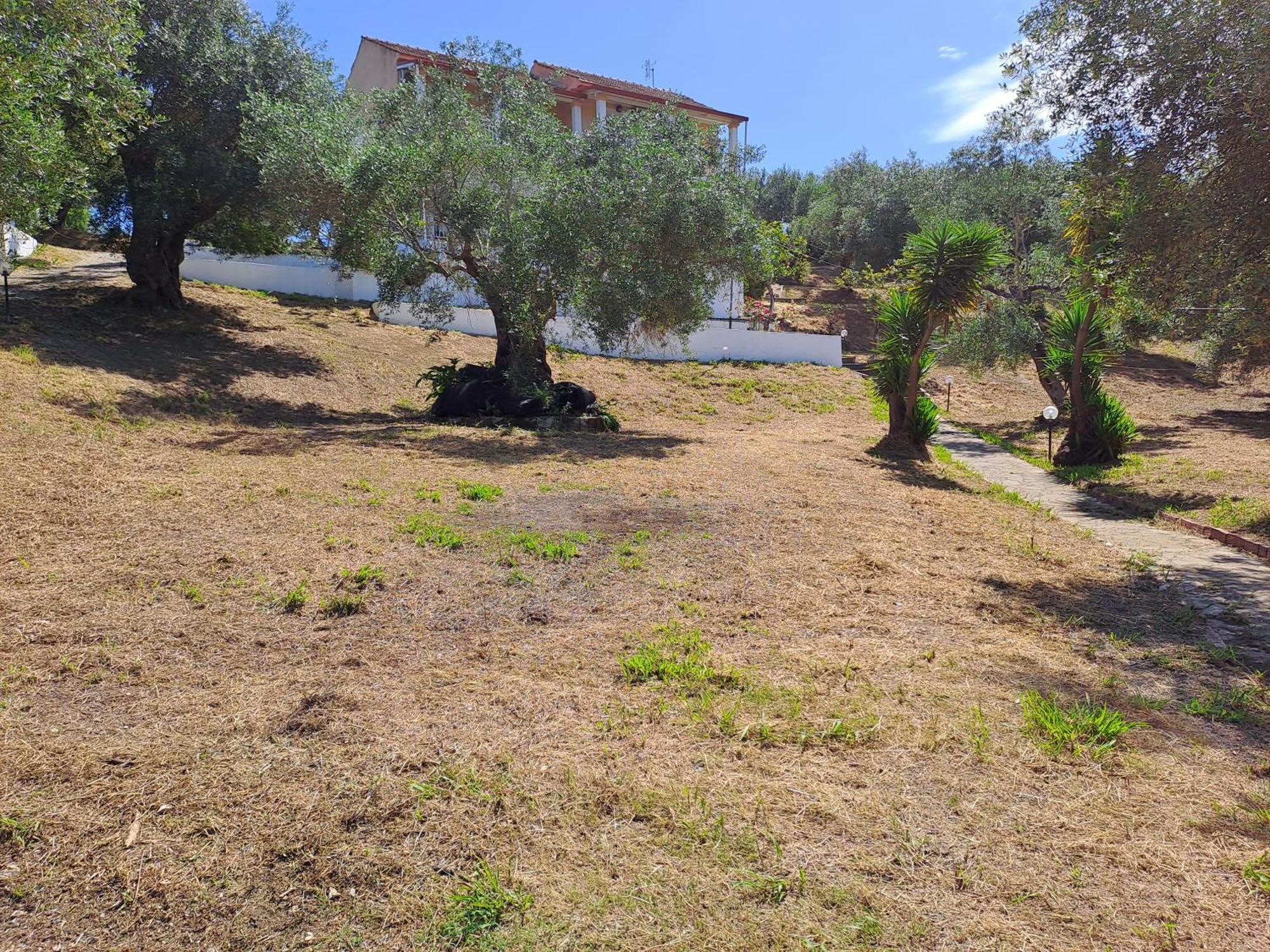 Evridiki Apartments Mesongi Exterior photo